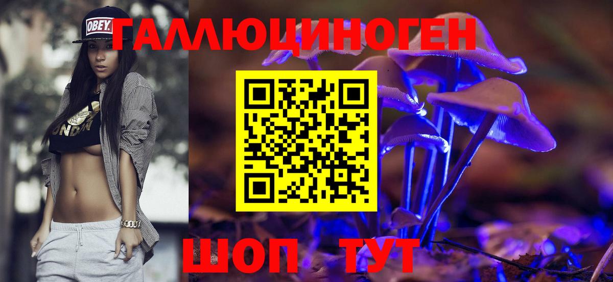 Галлюциногенные грибы прущие грибы Северск