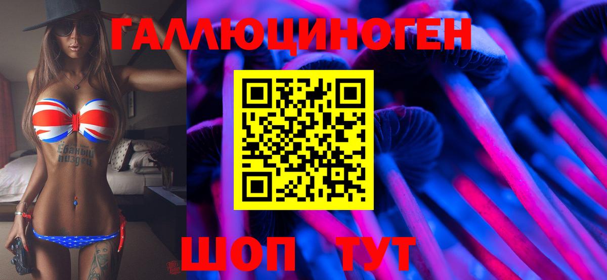 Галлюциногенные грибы MAGIC MUSHROOMS  Галлюциногенные грибы Magic Shrooms  Северск  где найти   Вход с VPN 
